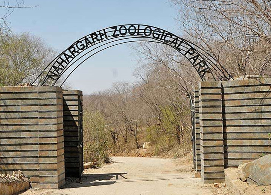 Nahargarh Biological Park