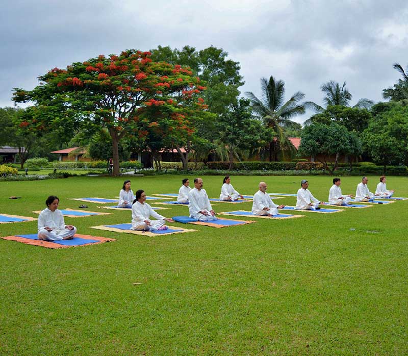 Yoga & Meditation